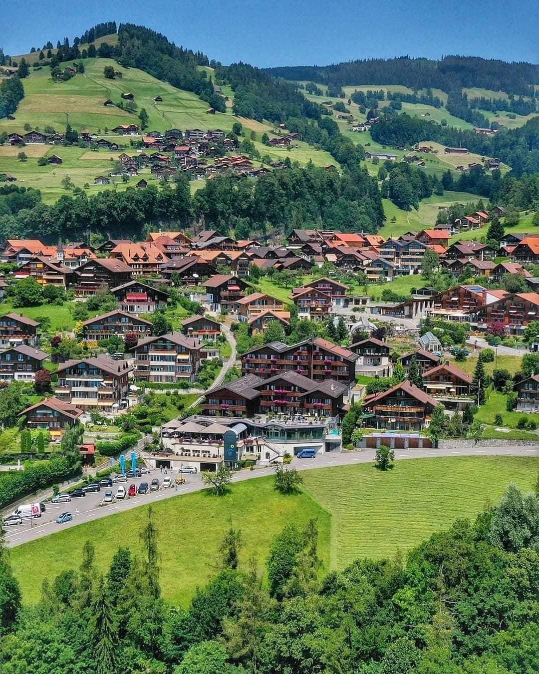 Gallery 2223818 image 1