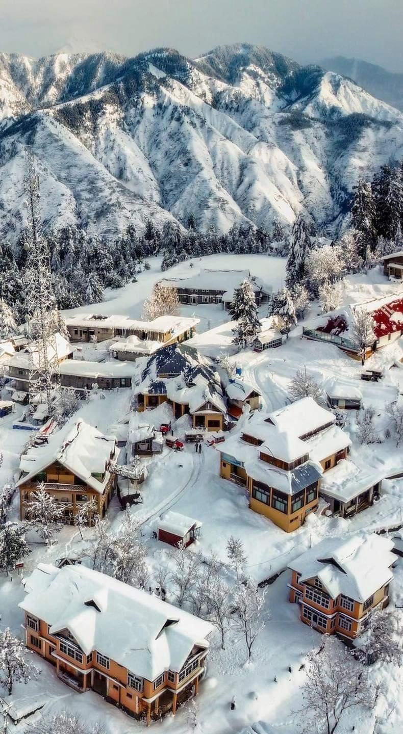 Gallery 2223832 image 1