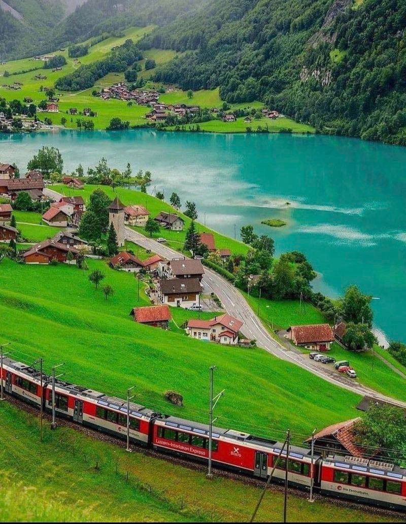 Gallery 2223881 image 1