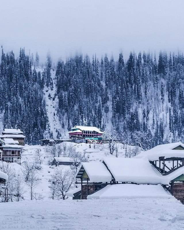 Gallery 2223923 image 1