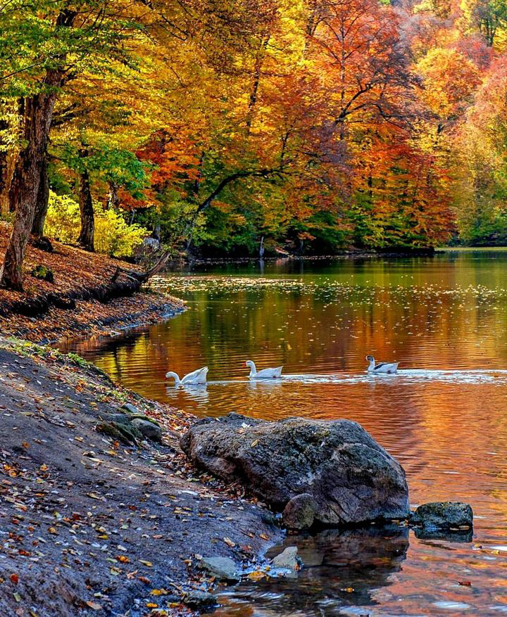 Gallery 2224028 image 1