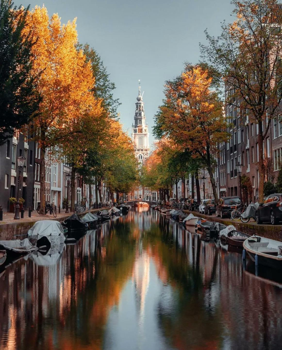 Gallery 2224070 image 1