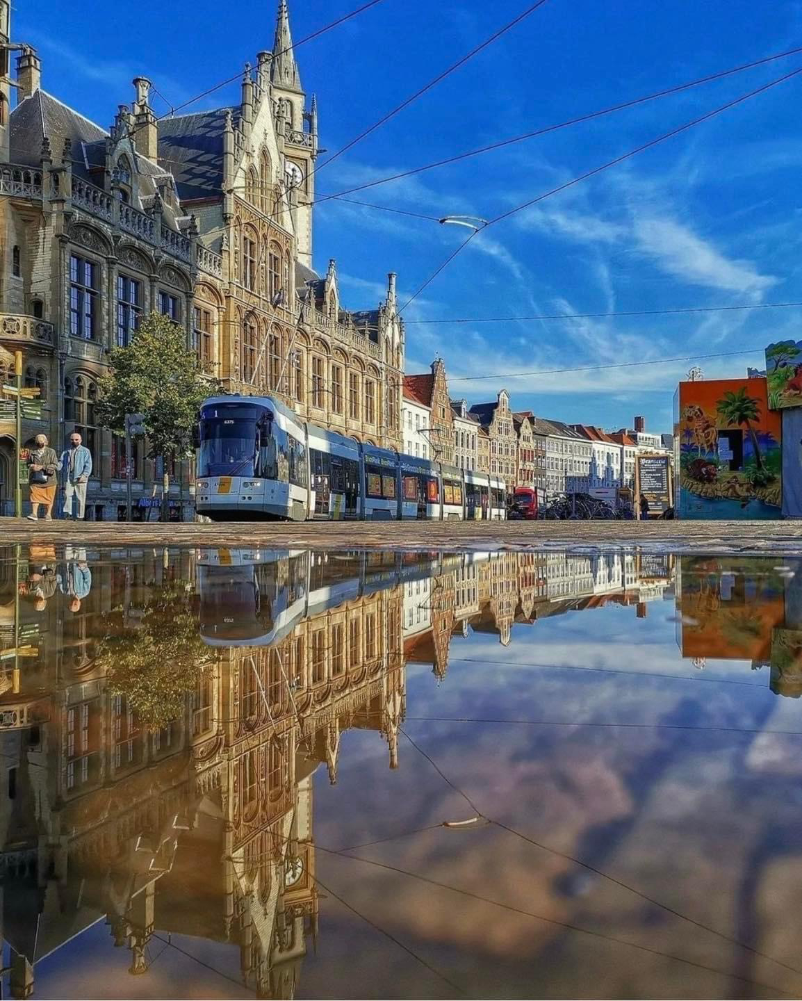 Gallery 2224154 image 1