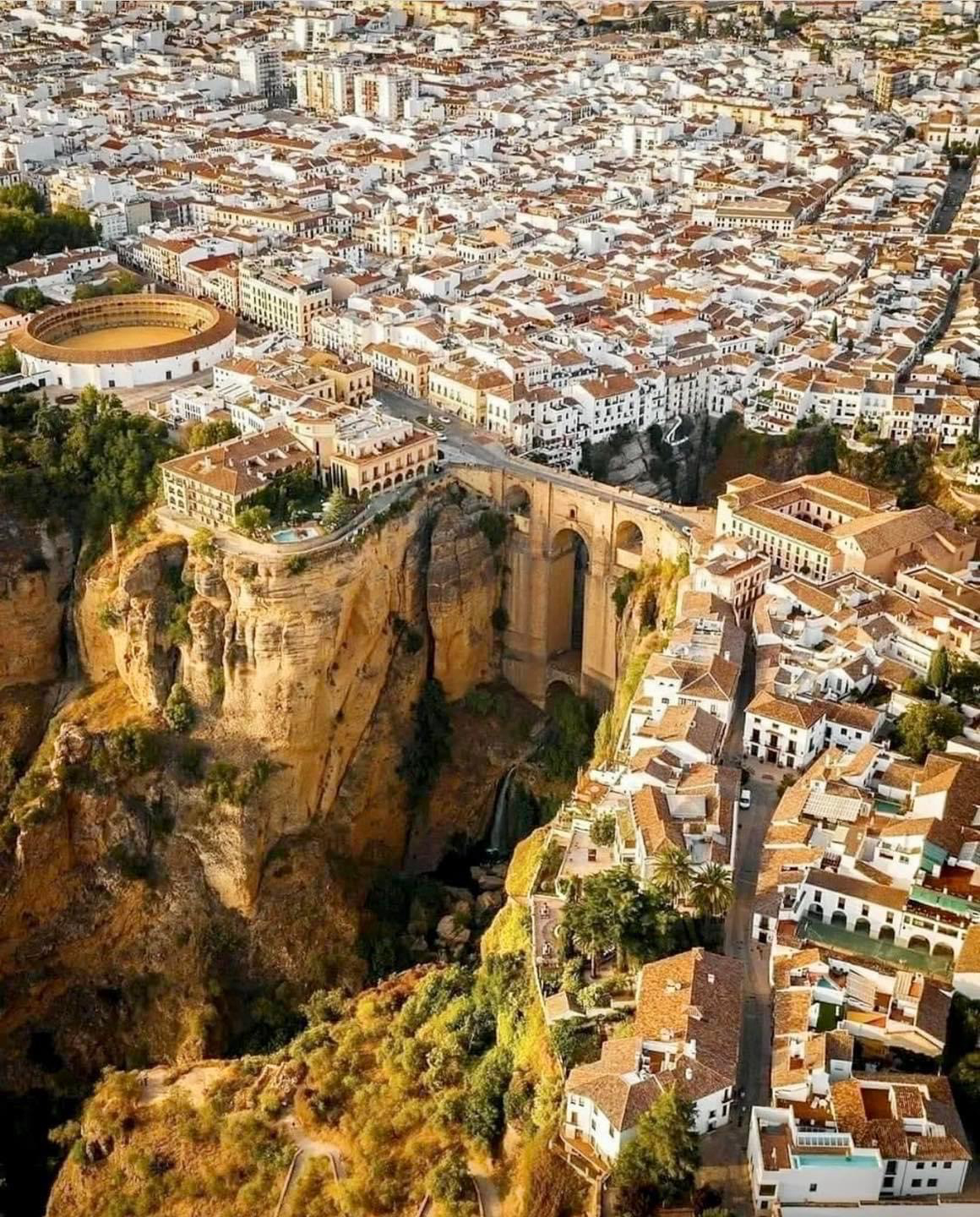 Gallery 2224203 image 1