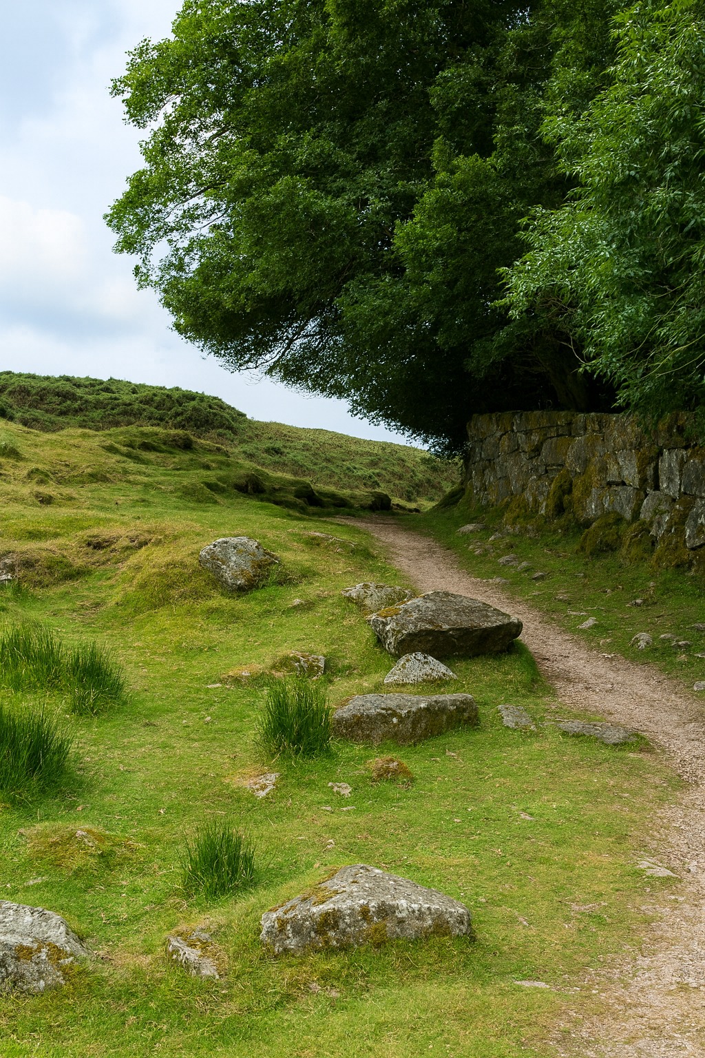 Բնապատկերներ