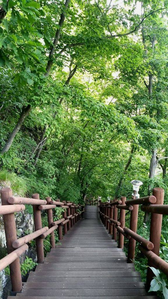 Բնություն 1