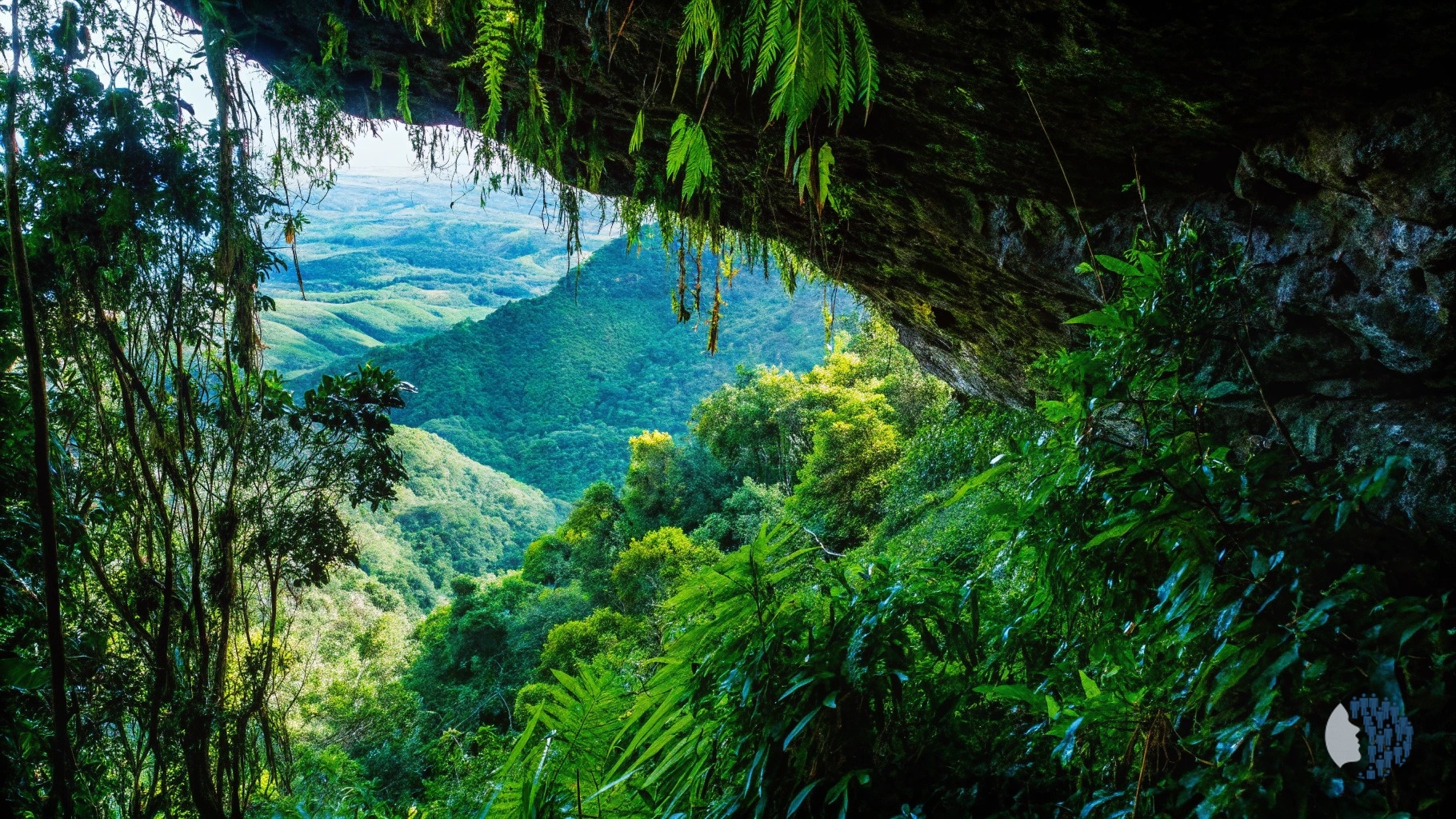 Հրաշք բնություն