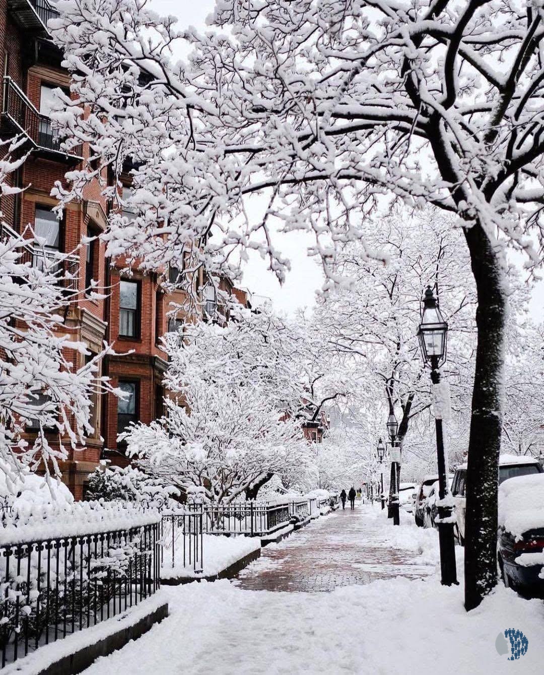 Ձմռան տեսարաններ