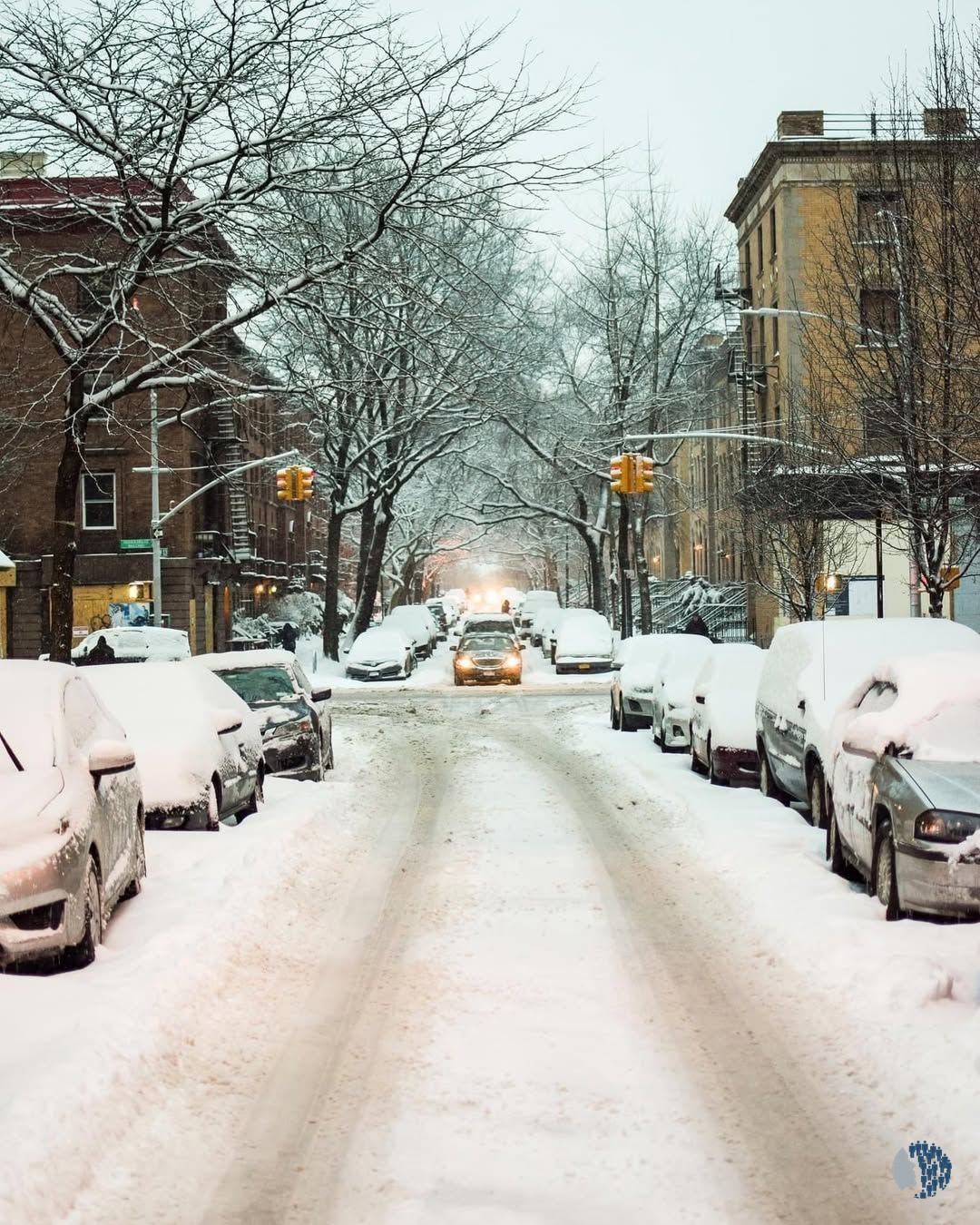 Ձմռան տեսարաններ