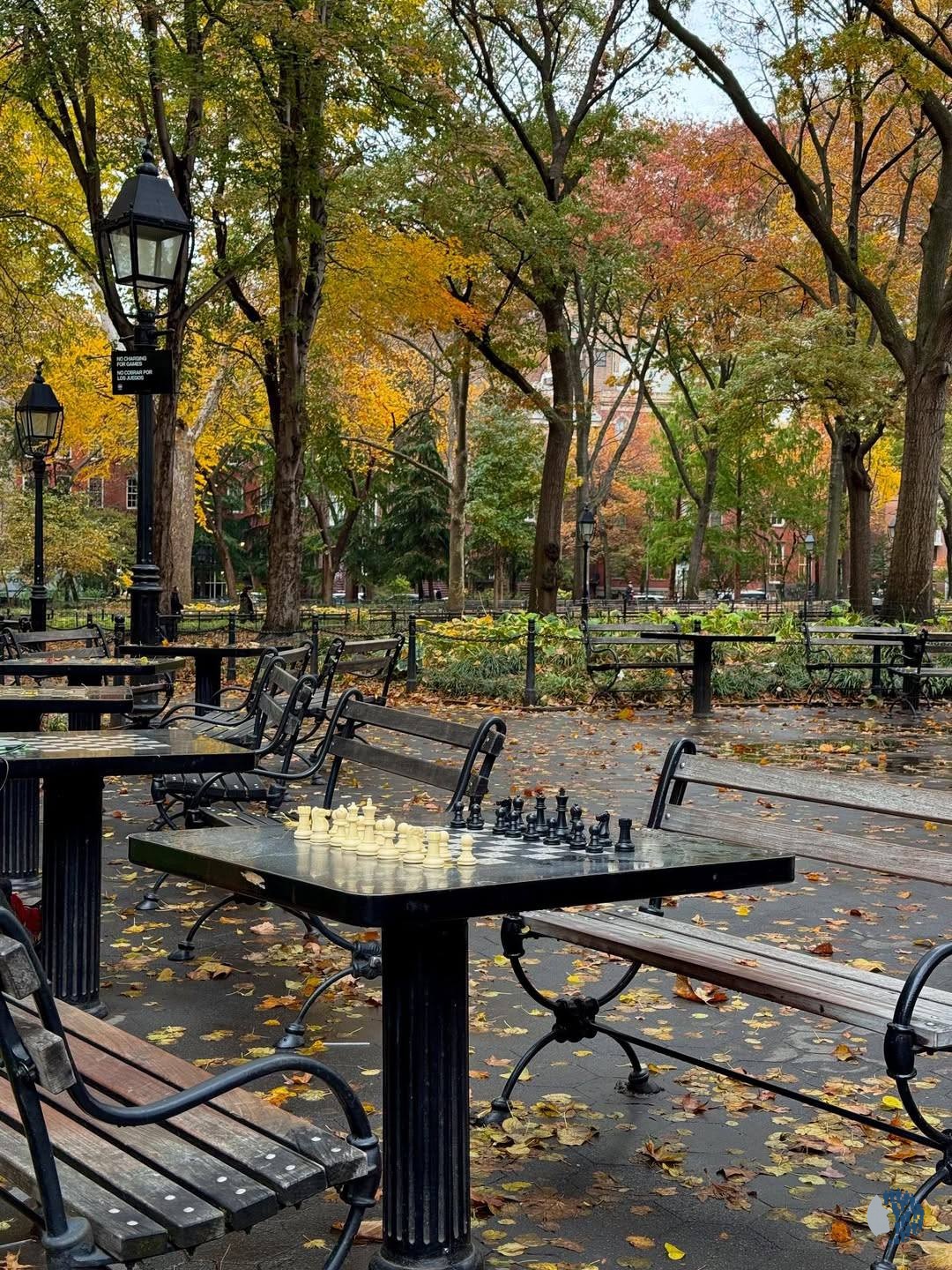 Վաշինգտոն Սքվեր Պարկ, Նյու Յորք