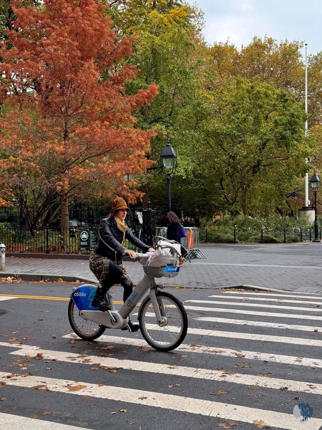 Վաշինգտոն Սքվեր Պարկ, Նյու Յորք