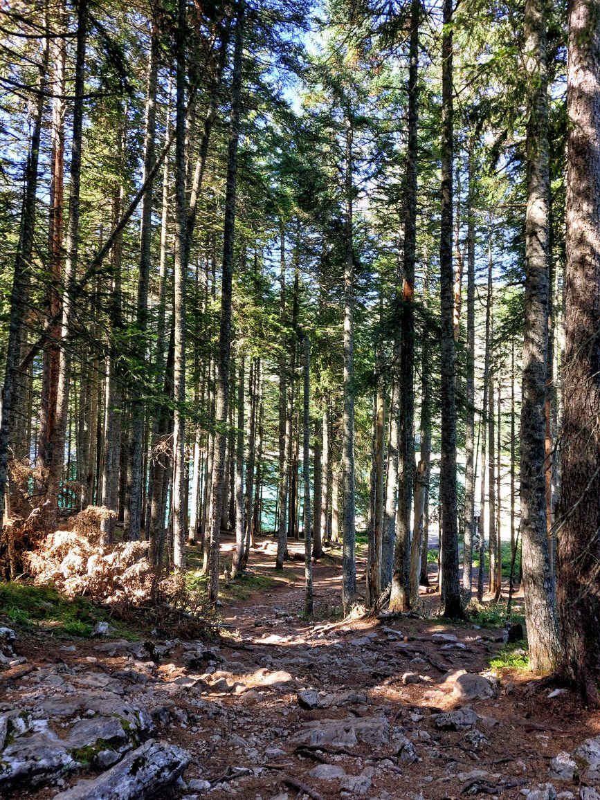 Դուրմիտոր ազգային պարկ, Չեռնոգորիա