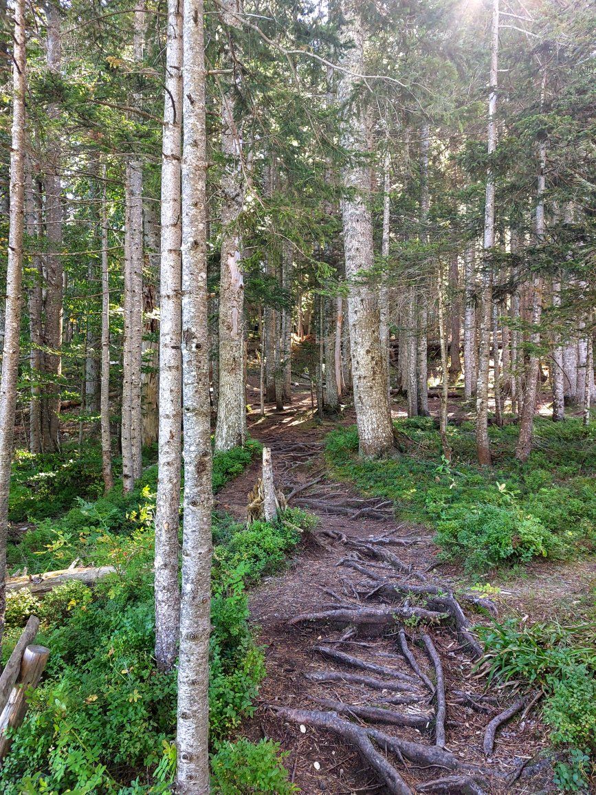 Դուրմիտոր ազգային պարկ, Չեռնոգորիա