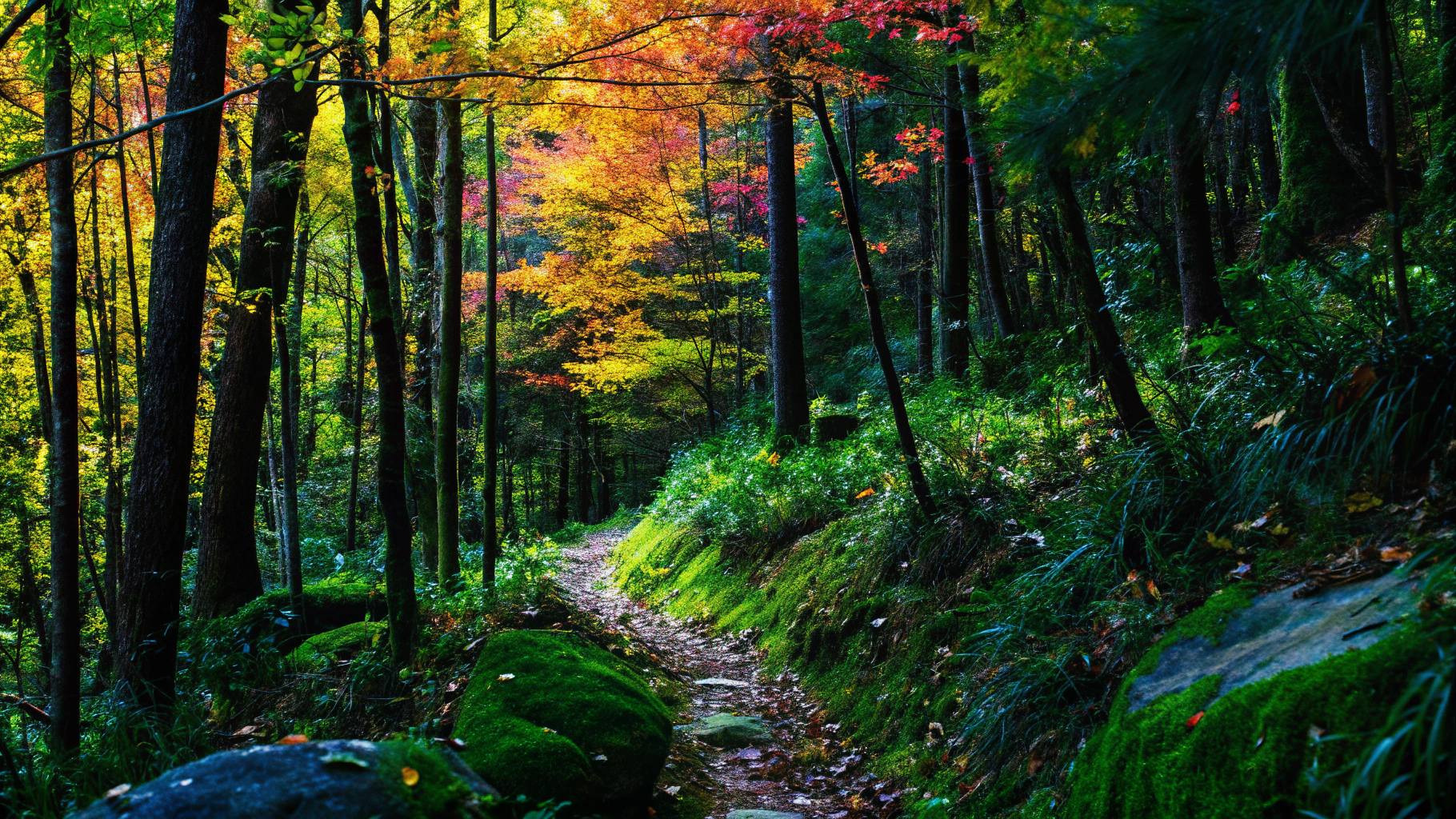 հանգիստ և կանաչ