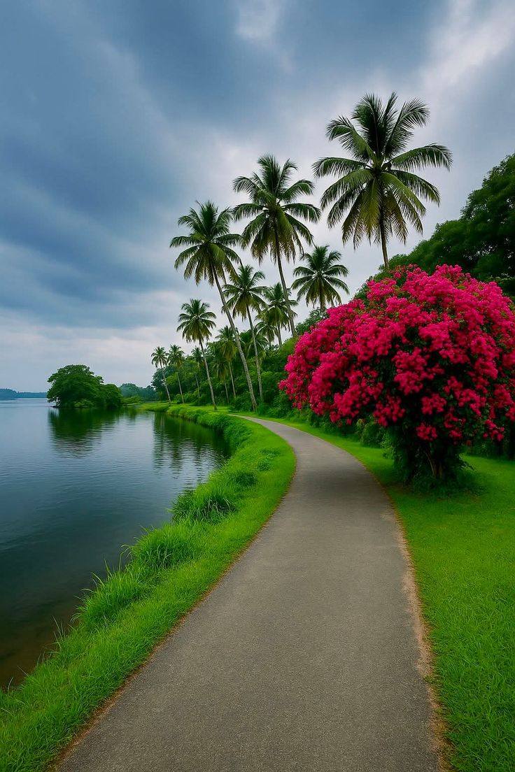 Բնություն 1