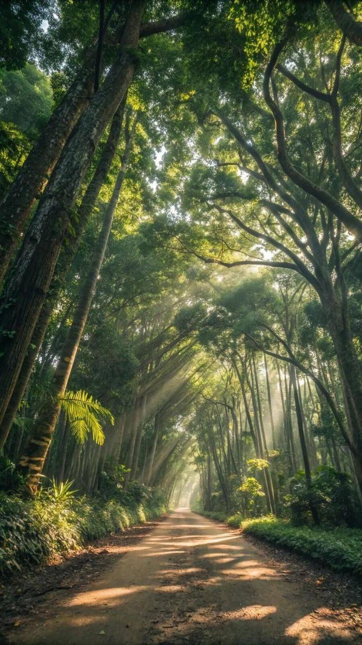 Բնություն 3