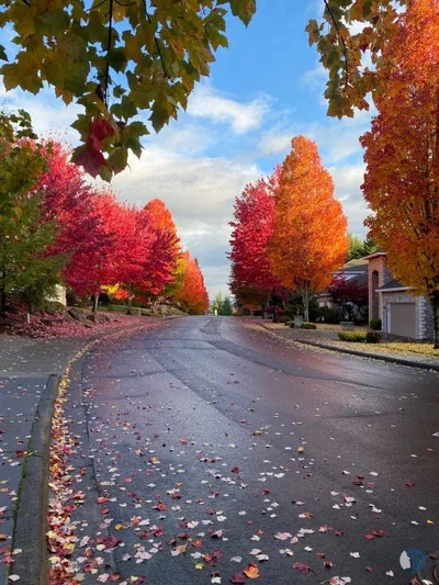 Գեղեցիկ աշուն 1