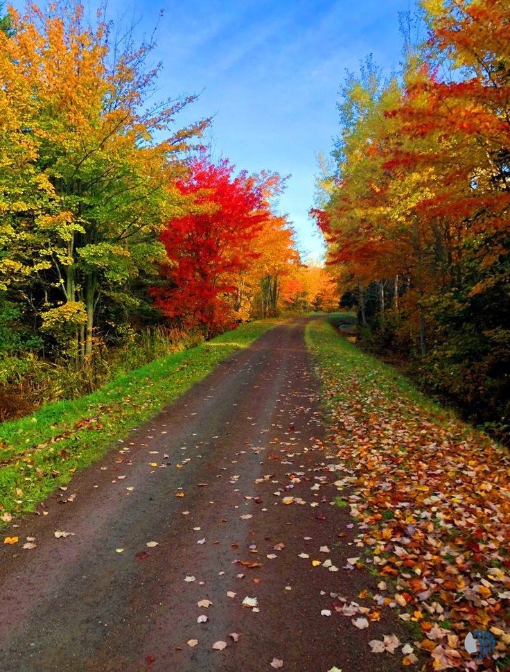 Գեղեցիկ աշուն 1