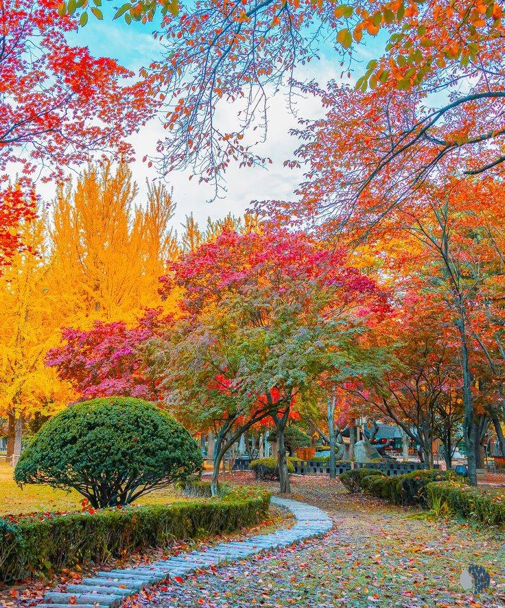 Գեղեցիկ աշուն 2