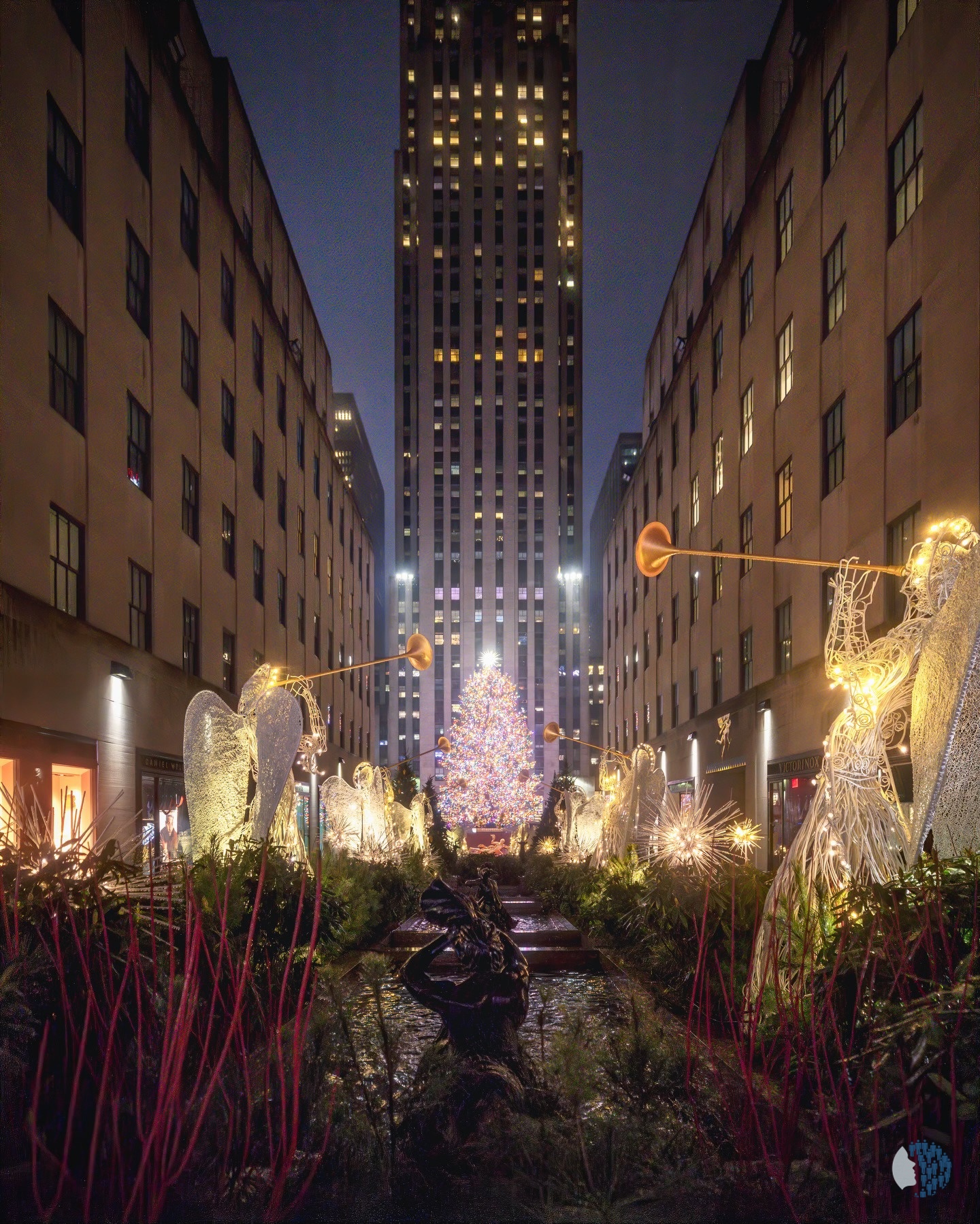 Ռոքֆելլերի կենտրոնի խորհրդանշական ծառը