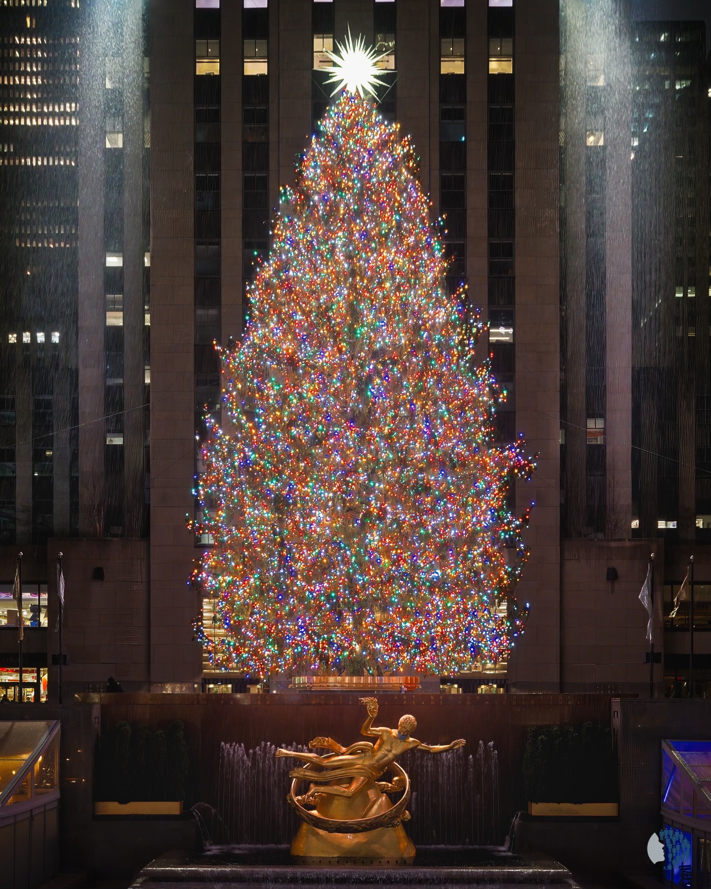 Ռոքֆելլերի կենտրոնի խորհրդանշական ծառը