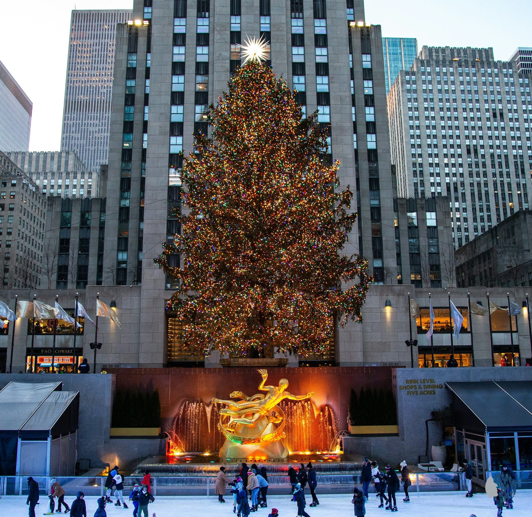 Նյու Յորք քաղաք