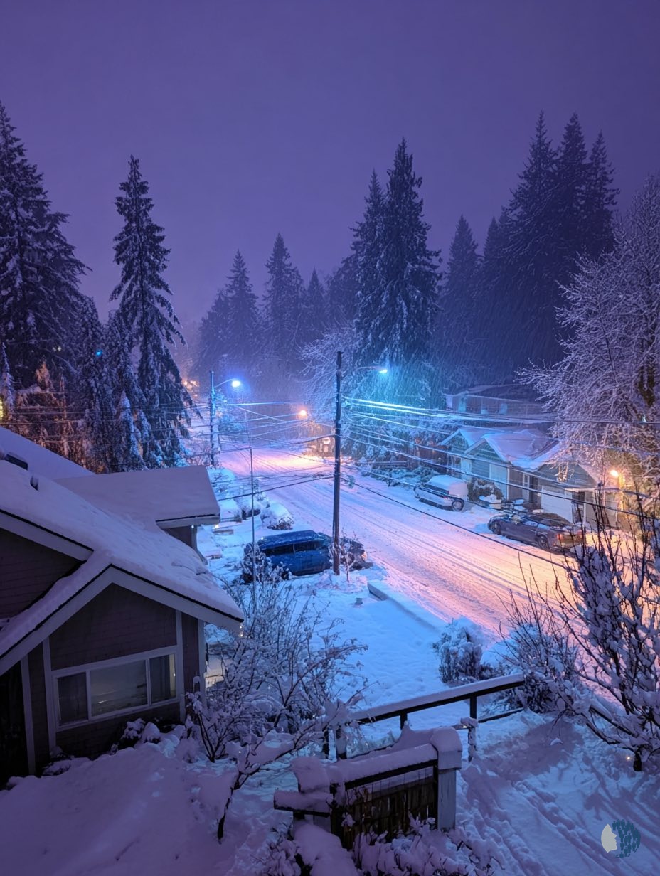 Կախարդական ձմեռային գիշերներ