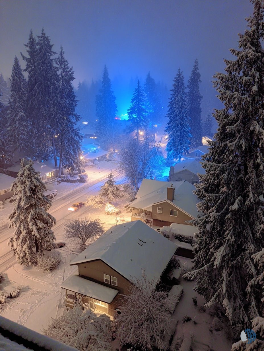 Winter Nights in Canada