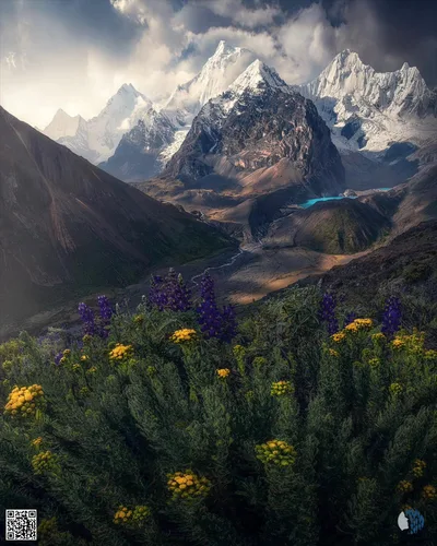 Ձյունածածկ գագաթներ և ալպյան հովիտներ | Բարձրացող սառցե լեռներ, փիրուզագույն սառցադաշտային լճեր, վայրի ծաղիկներ և գալարուն գետեր դրամատիկ երկնքի տակ