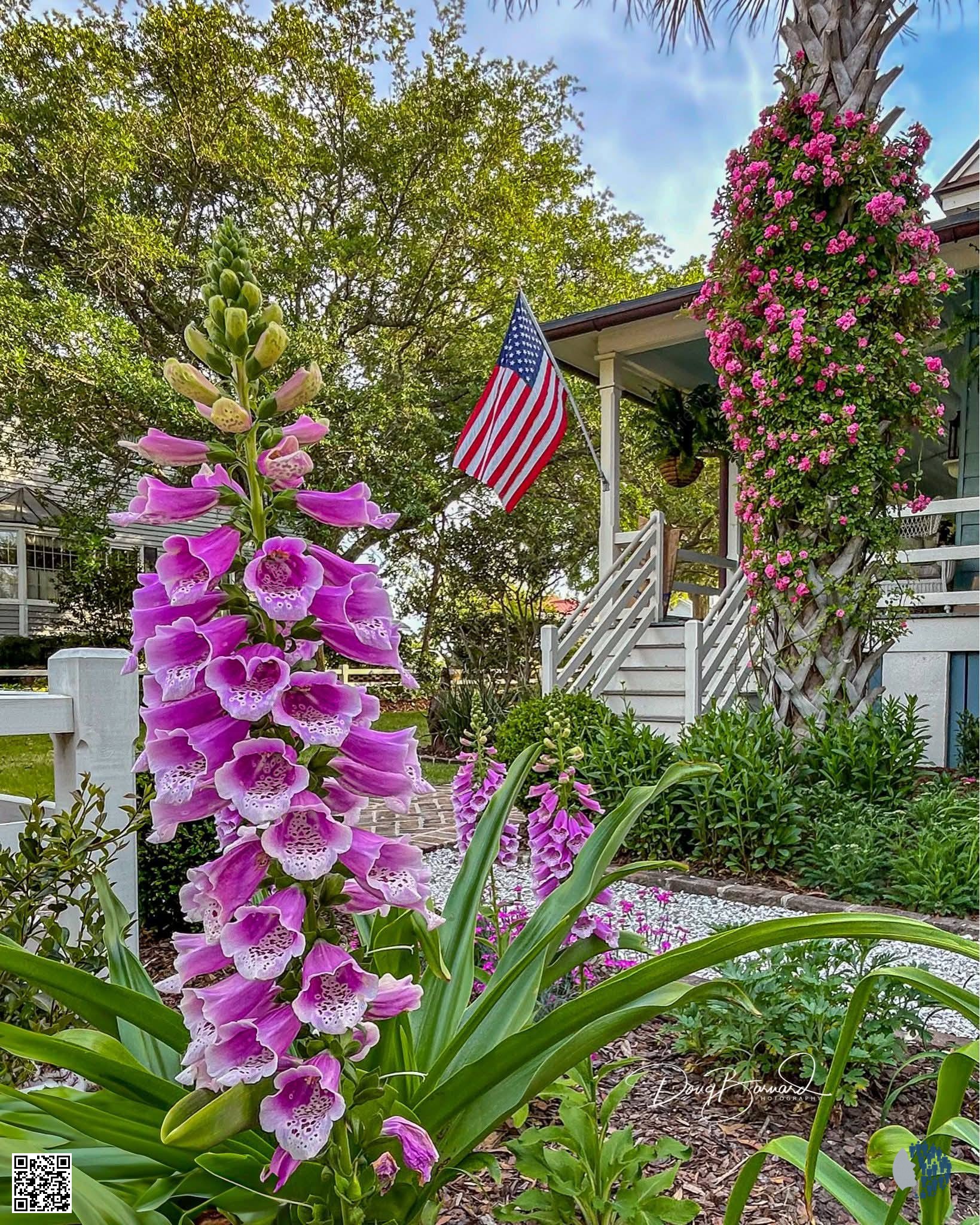 Գարնանային բնության գեղեցկության հավաքածու | Կենսուրախ կոլաժ՝ ծաղկող ծաղիկներով, փայլուն լճերով, կապույտ երկնքով և խաղաղ ափամերձ լանդշաֆտներով, որոնք արտացոլում են բնության թարմությունը։