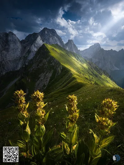 Շվեյցարական Ալպերի գույները | Սառցադաշտային հովիտներ, ալպյան լճեր և ոսկեգույն անտառներ՝ Շվեյցարիայի լեռնային բնության խաղաղ գեղեցկությամբ