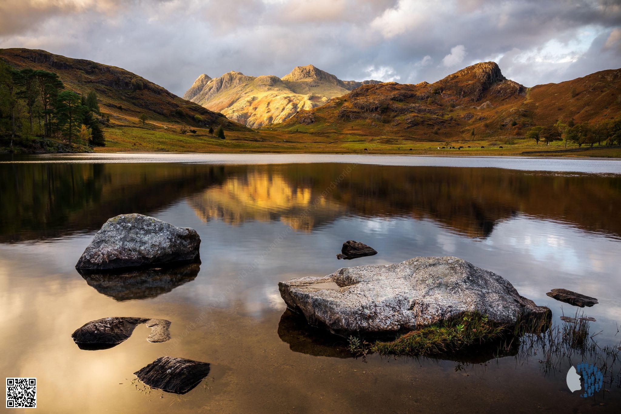 Անգլիայի Լեյք Դիսթրիքթ | Անգլիայի Լեյք Դիսթրիքթի սիրելի լուսանկարների տպավորիչ հավաքածու՝ մշուշոտ լճերով, լուսավոր ծառերով, դրամատիկ հովիտներով և խաղաղ բնապատկերներով