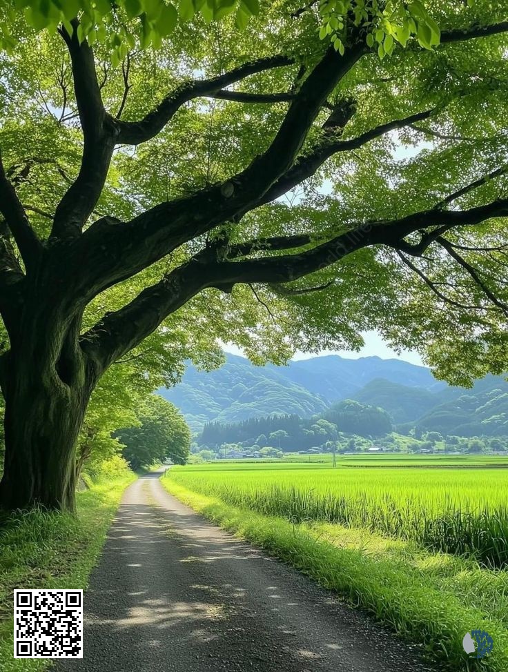 Հանգիստ կանաչ լանդշաֆտներ | Արևով լուսավորված ծառերով շրջապատված արահետների, թարմ կանաչ դաշտերի, լեռնային տեսարանների և ամառային անդորրով լի լճափնյա խաղաղ տեսարանների հանգստացնող հավաքածու