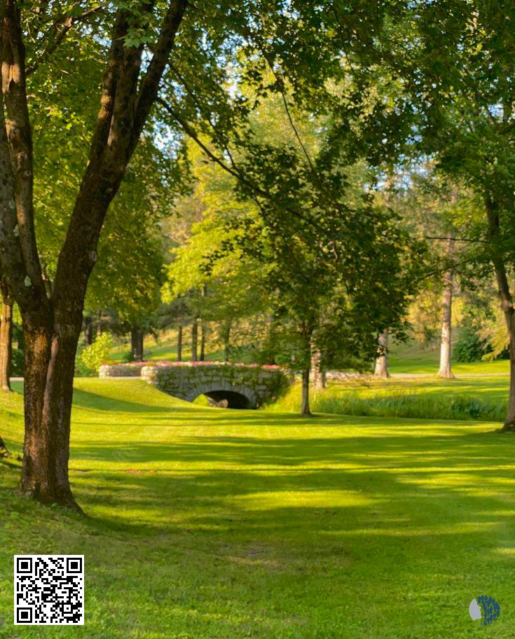 Հանգիստ այգիների և բնական տարածքների ուղեցույց | Բացահայտեք, թե ինչպես կարող են խաղաղ այգիները, արևով լուսավորված ծառերը և թարմ կանաչ տարածքները նվազեցնել սթրեսը, բարելավել տրամադրությունը և առօրյա կյանքում բերել ավելի շատ հանգստություն, կենտրոնացում և հավասարակշռություն