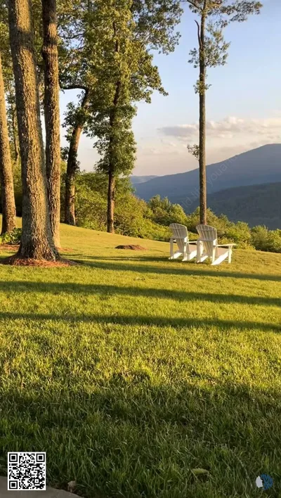 Ոսկեգույն անդորրություն ջրի մոտ | Արևով լուսավորված ծառերը, լճափնյա նուրբ արտացոլանքները և հանգիստ կանաչ տարածքները ստեղծում են խաղաղ փախուստ, որտեղ բնությունը հանգստություն է ներշնչում յուրաքանչյուր պահի